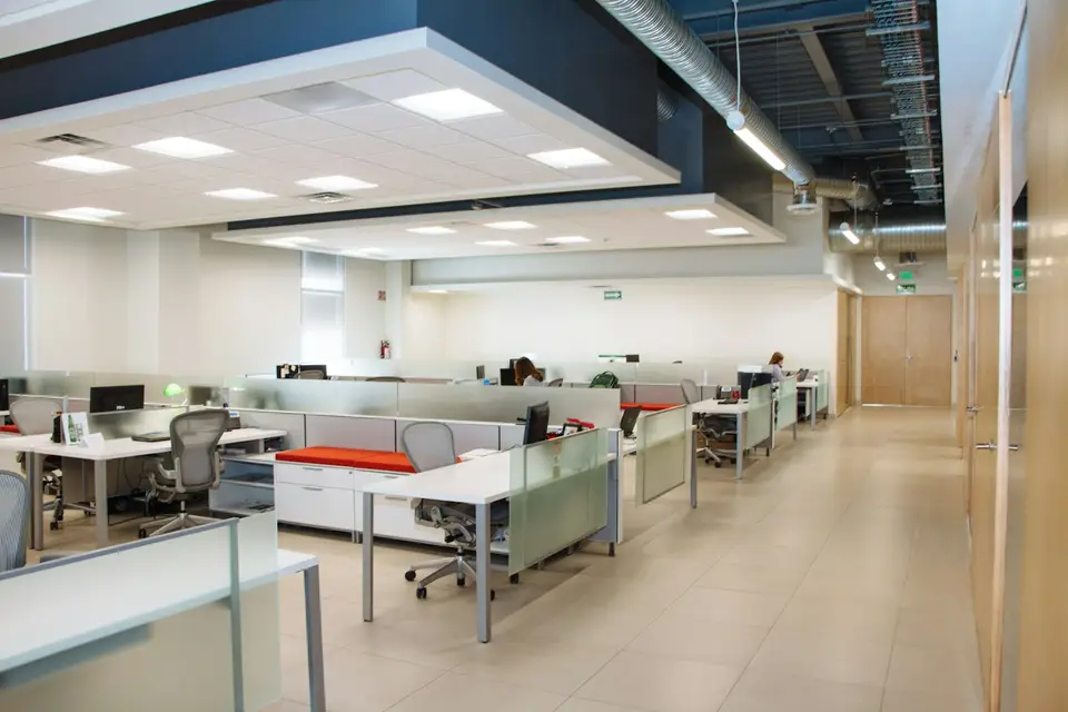 Painters rolling a corridor wall in an empty office space at night with furniture covered
